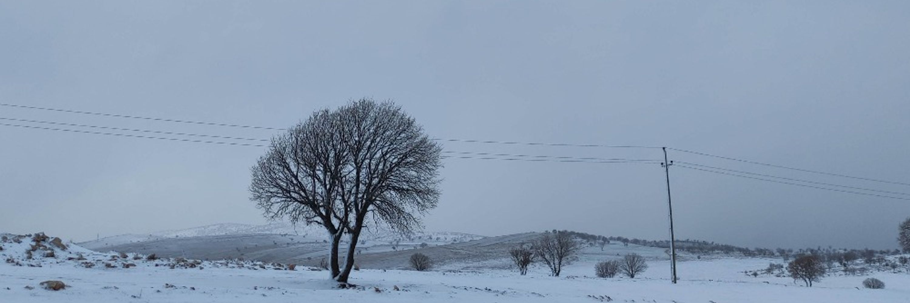 Se'îd.