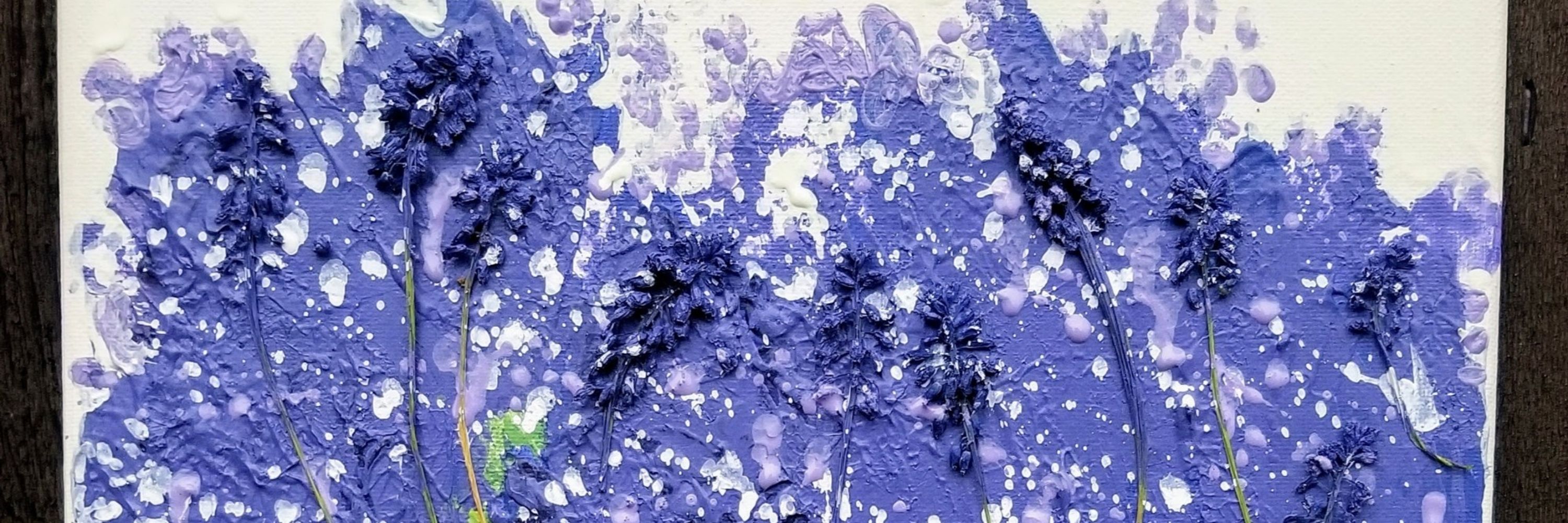 Xan