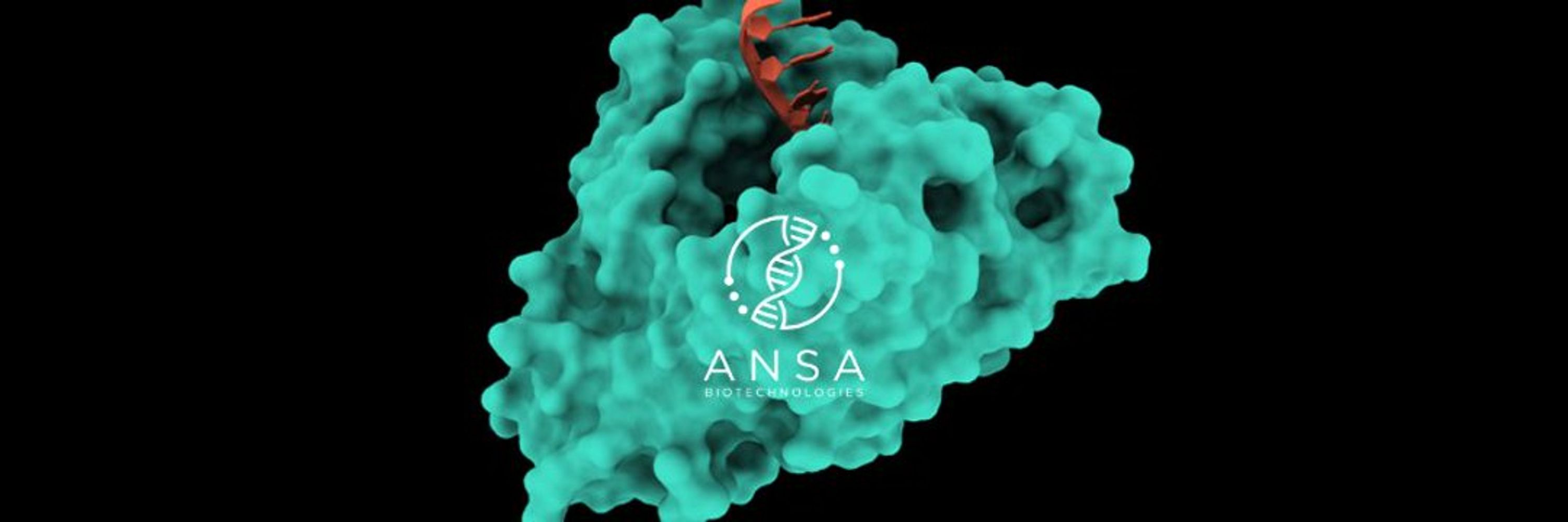 Ansa Biotechnologies