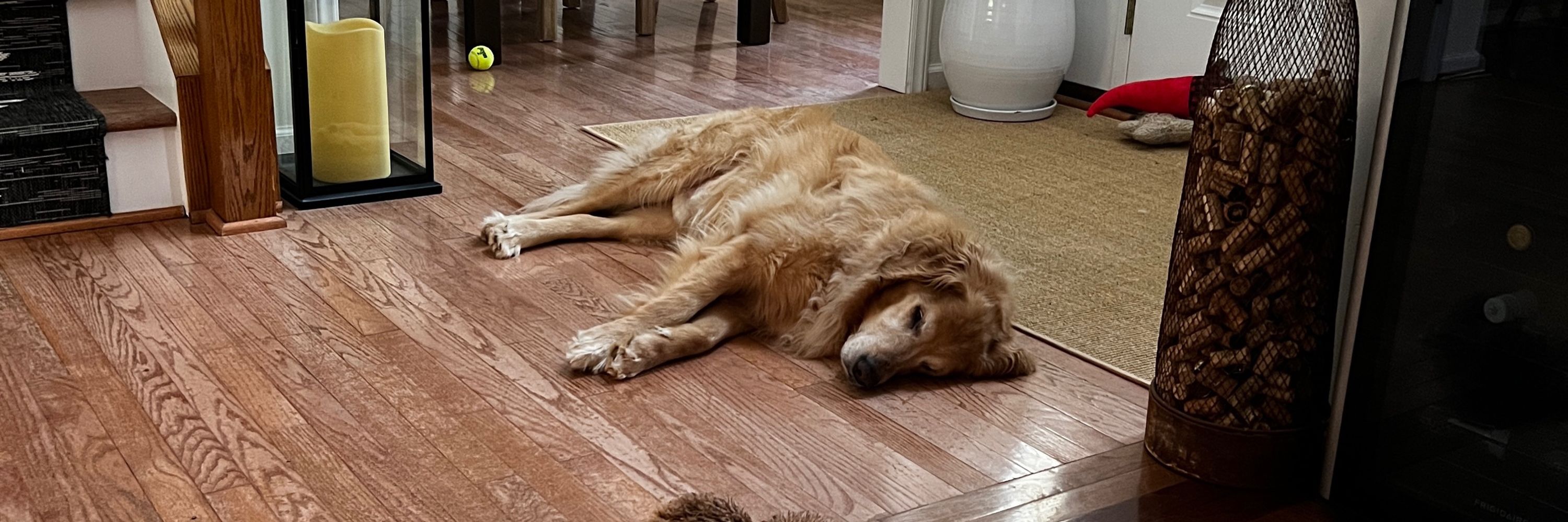mauer