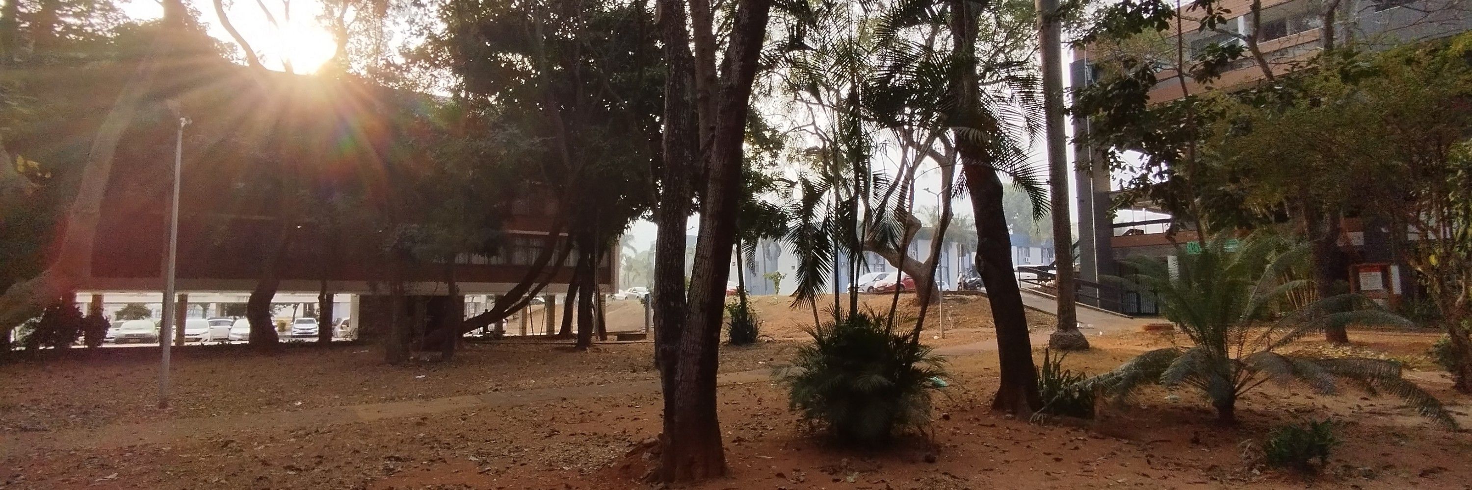 Rê 
