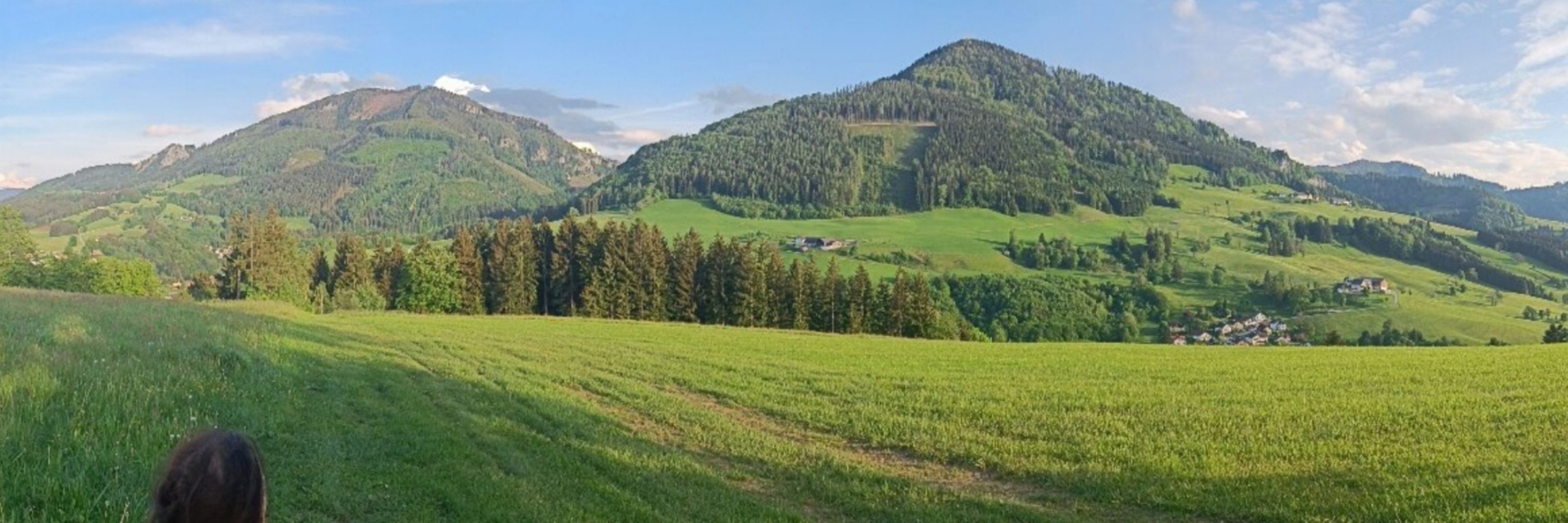 Zoltan Abfalter