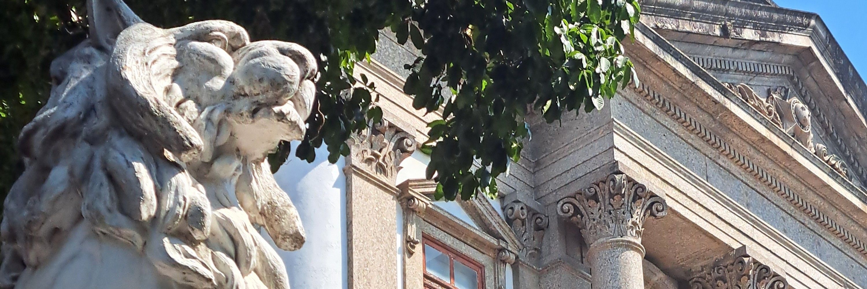 Kingui