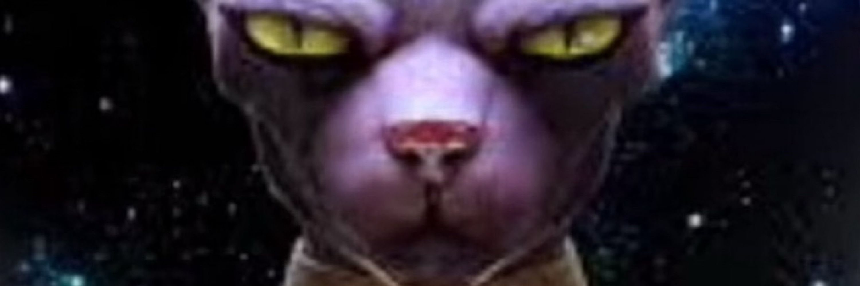 KingJackKiller2