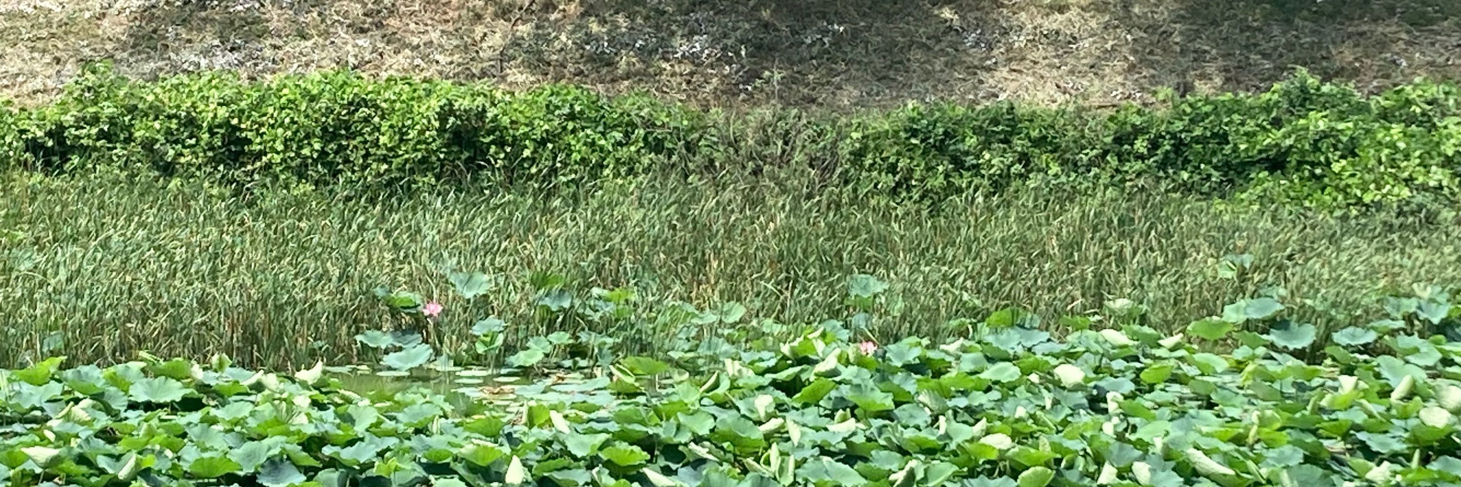 せﾚヽι″ょ〜