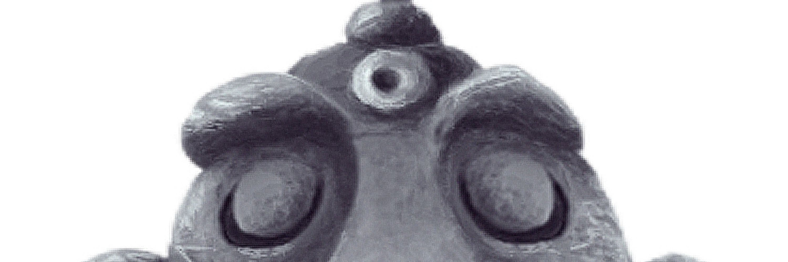 Tim