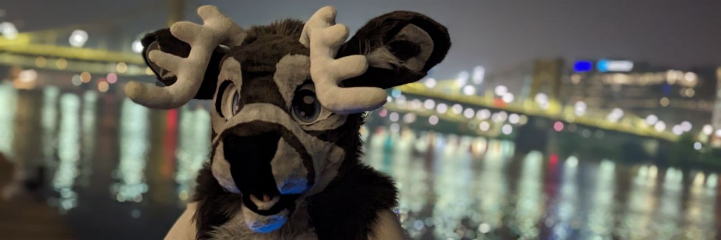 shrimply a deerb
