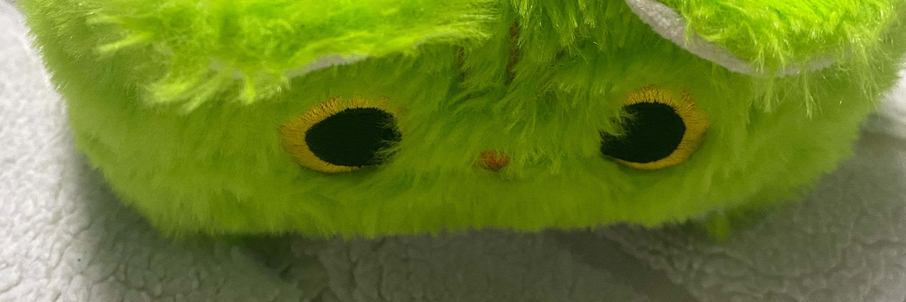 Corn