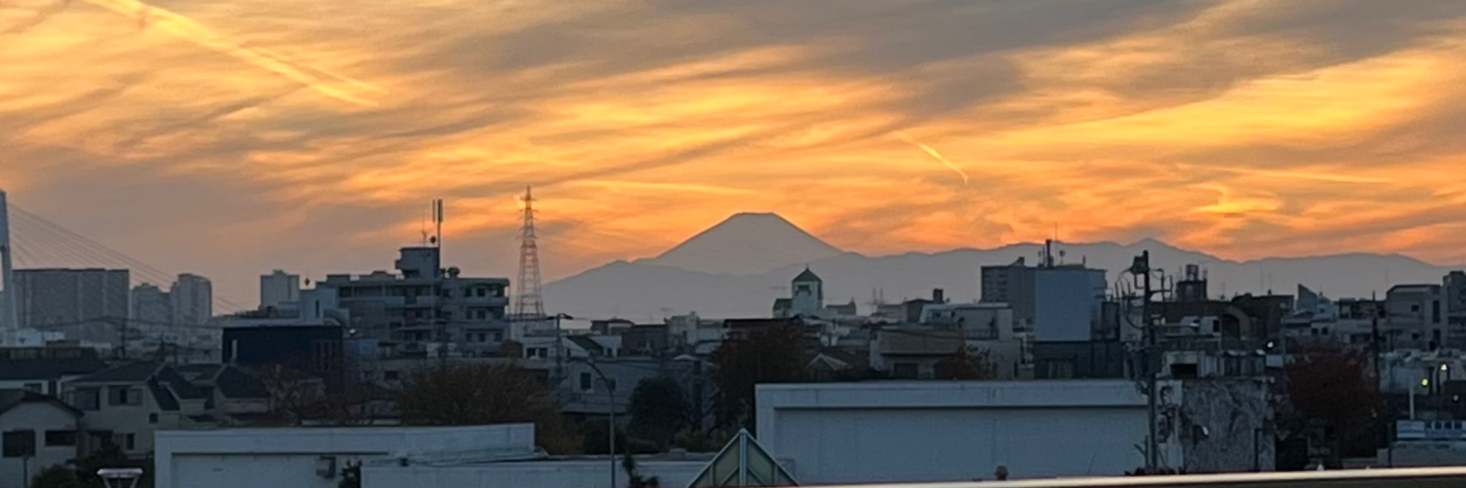 ゆき