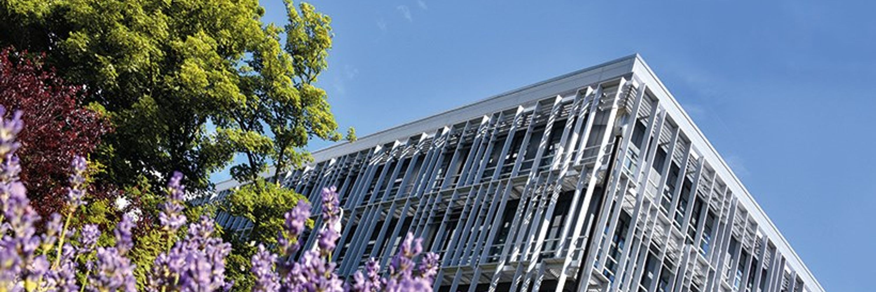 The Rowett Institute