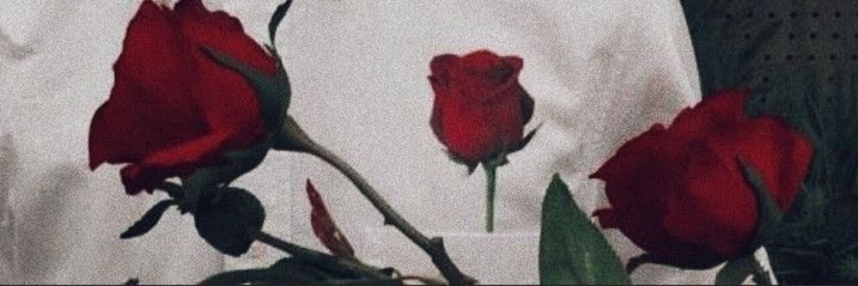 ♡🥀cloudy🥀♡