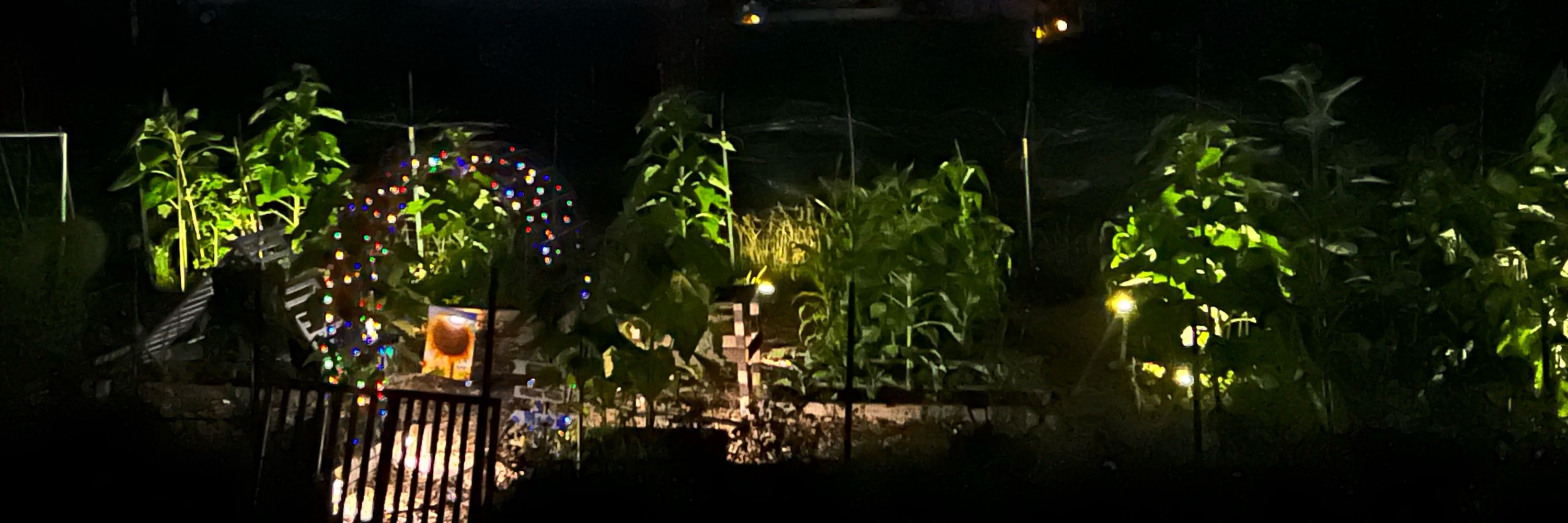 Well Doug Garden