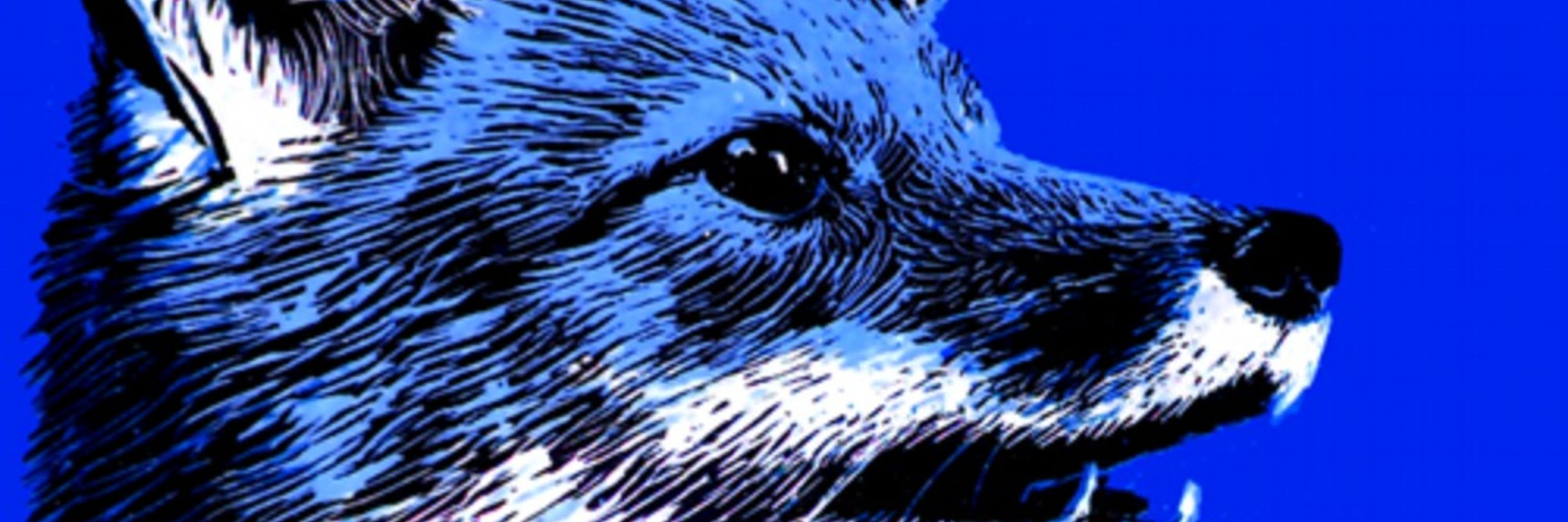 Salvar Fawkes