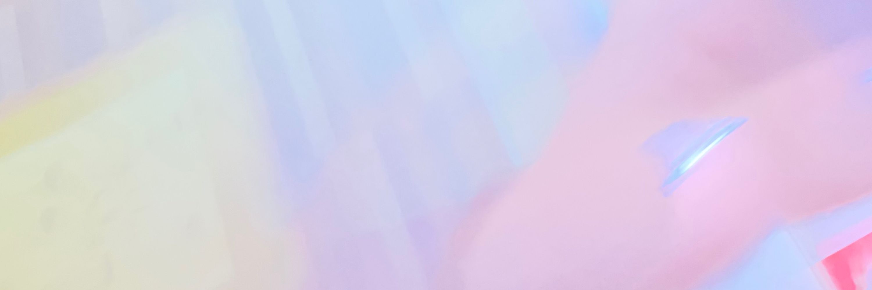 知恵のあるメスゴリラ