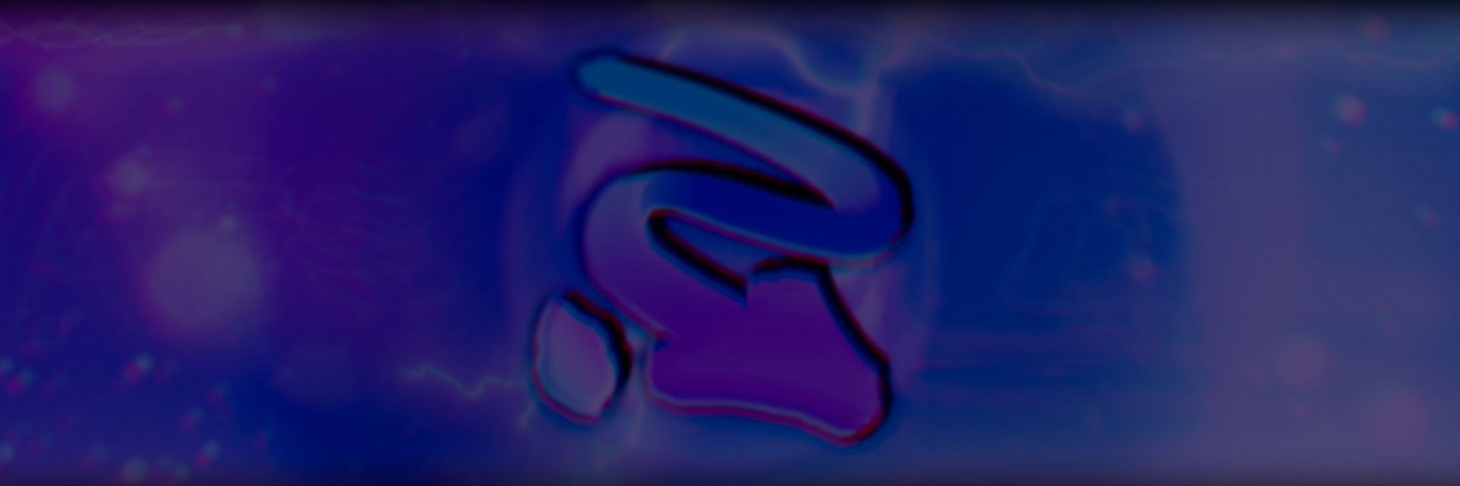WhatsDown // PurgaTeam Portal