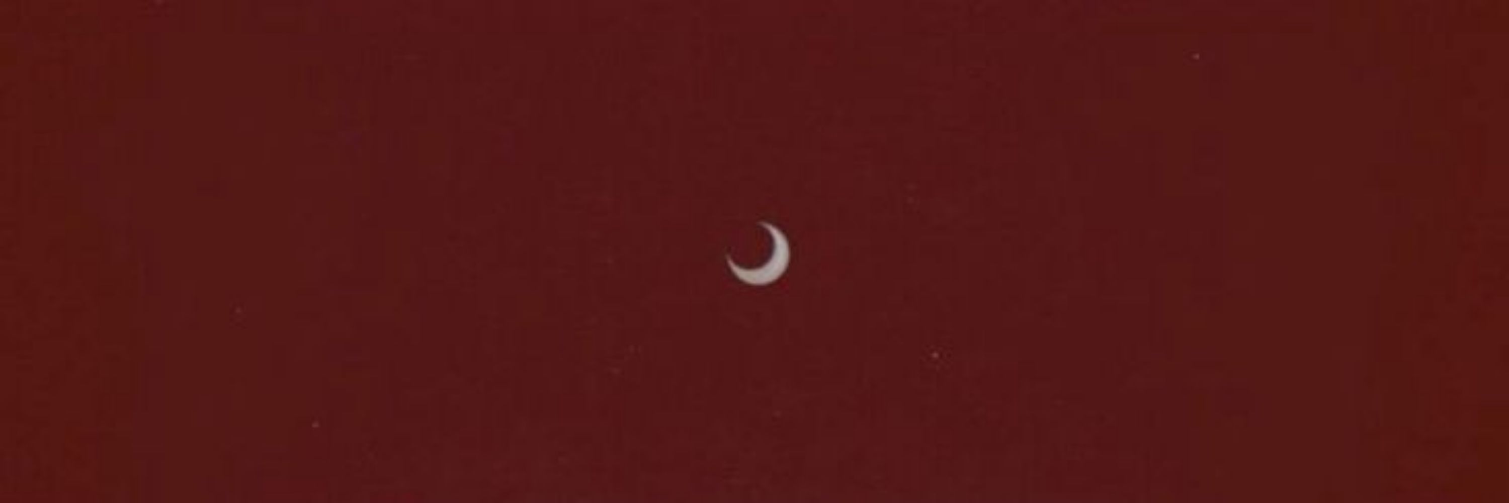 Venus 
