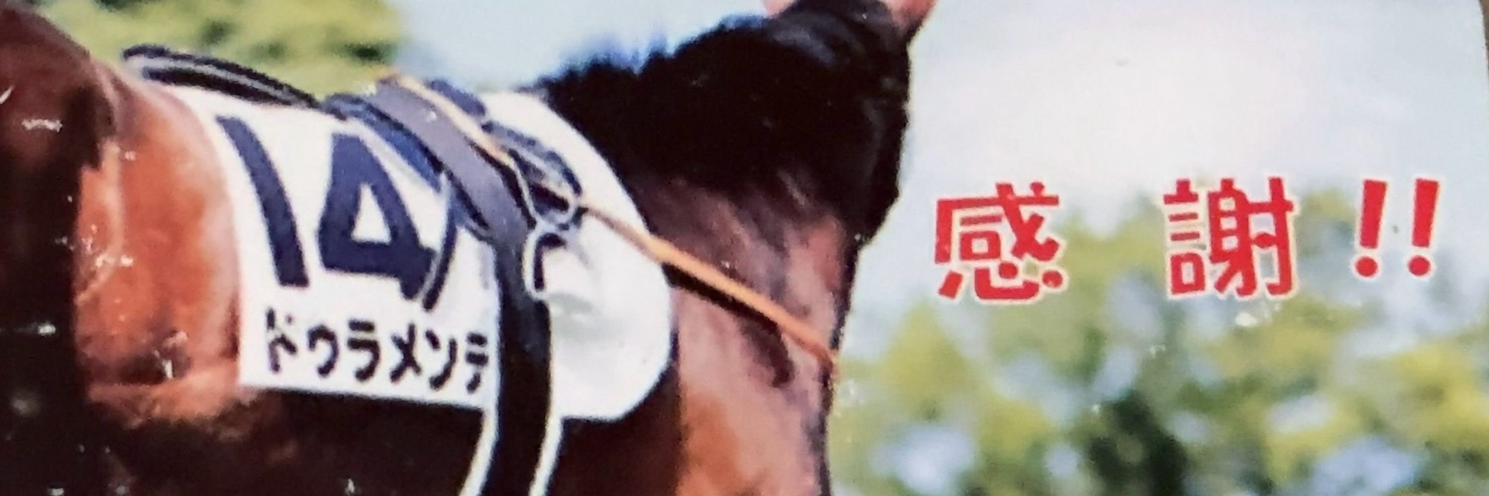 きんだこ
