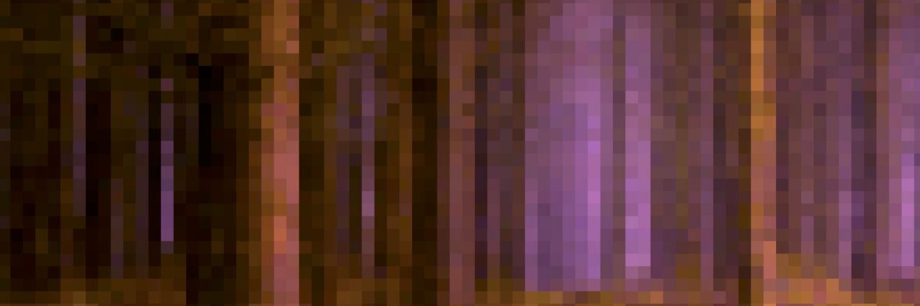 foxwizard ☾