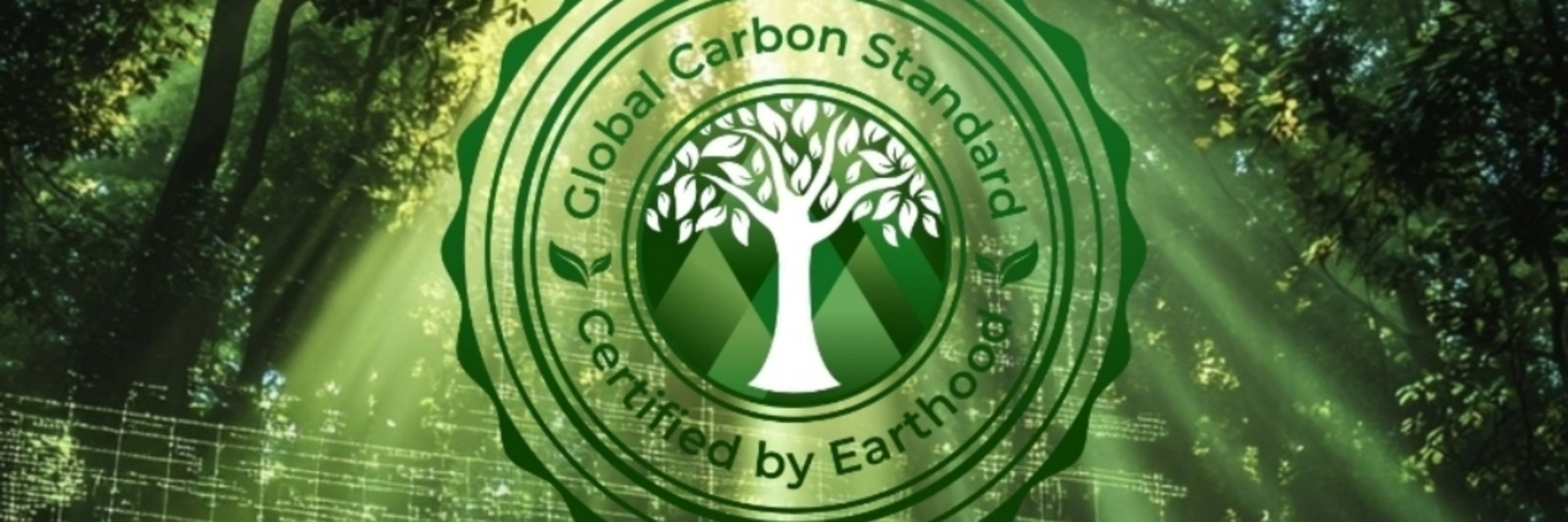Global Carbon Standard (GCS)