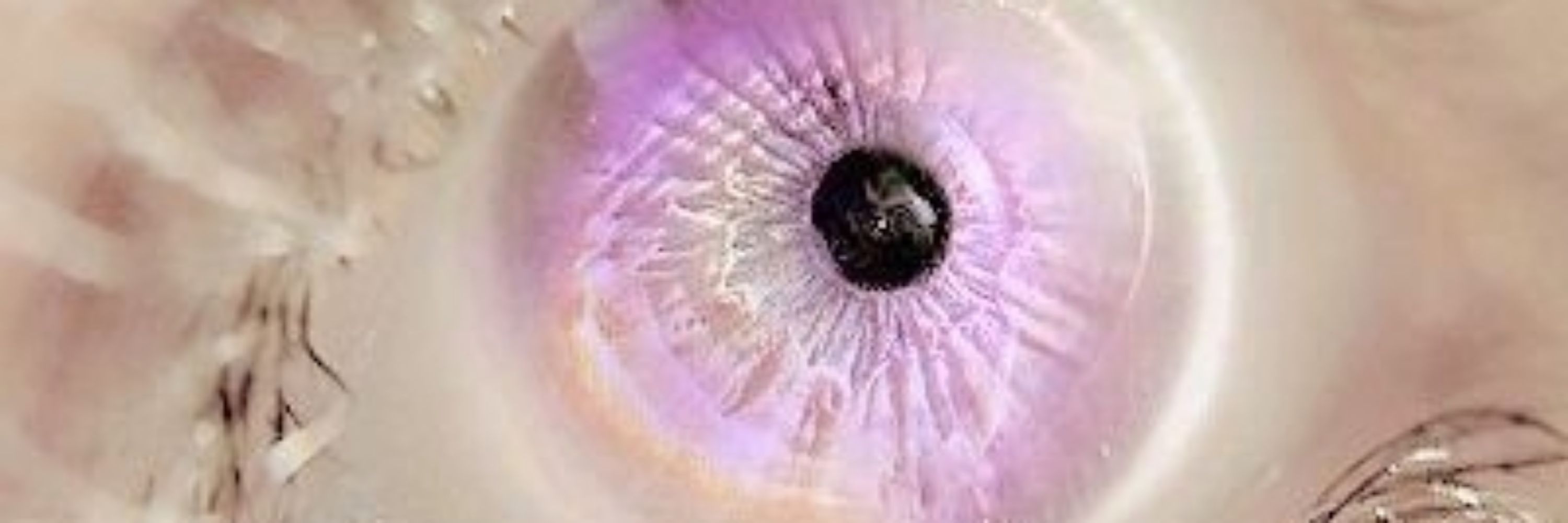 Curiosidade_universal