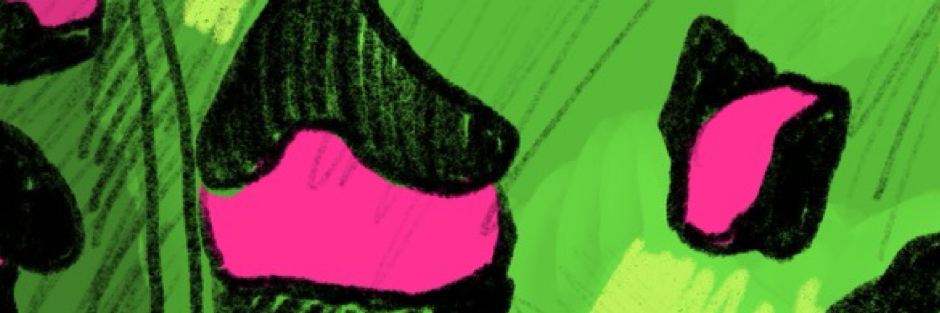 Baph(He/him)