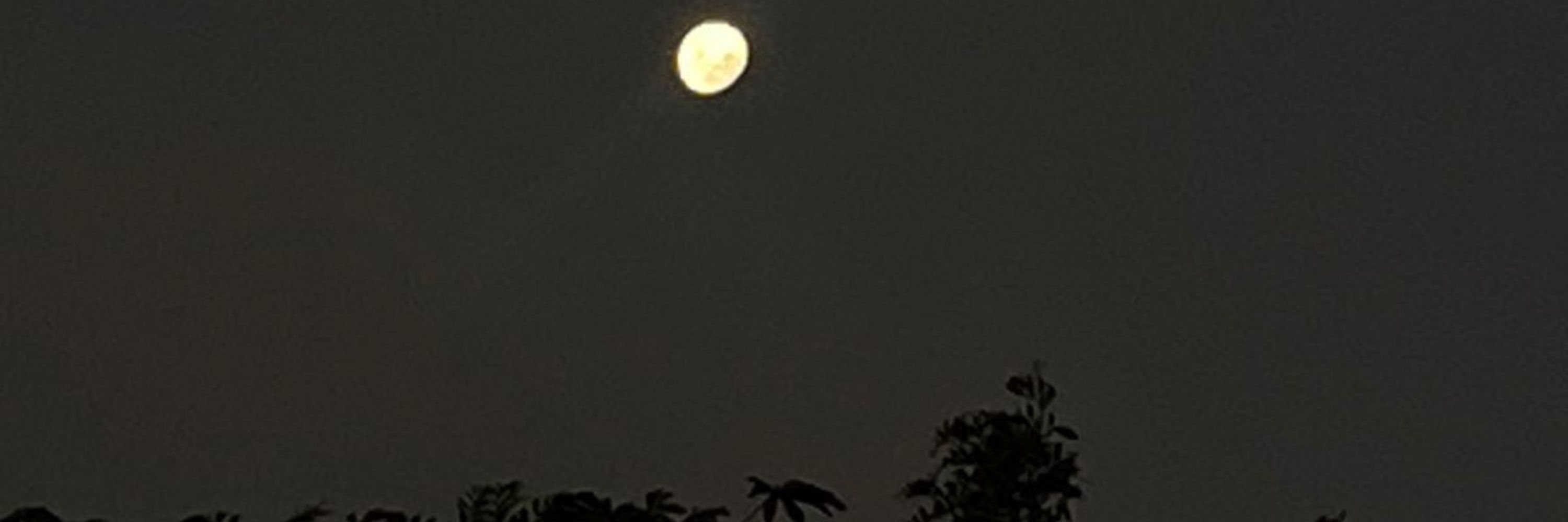nathnath