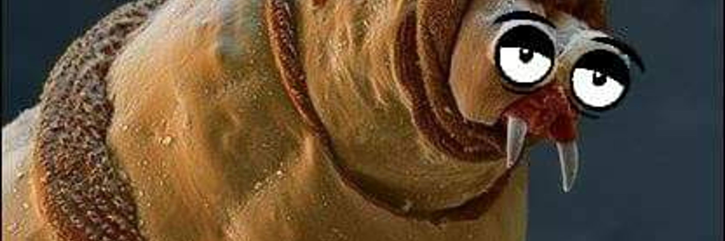 Several misaligned newts