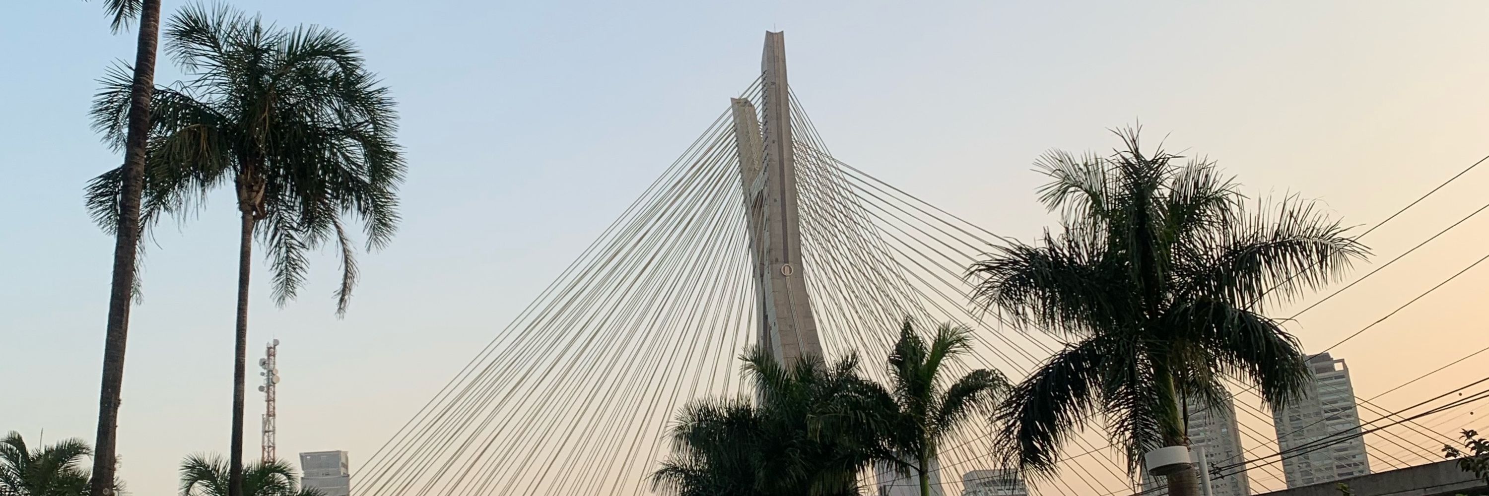 Nath Bonfim 
