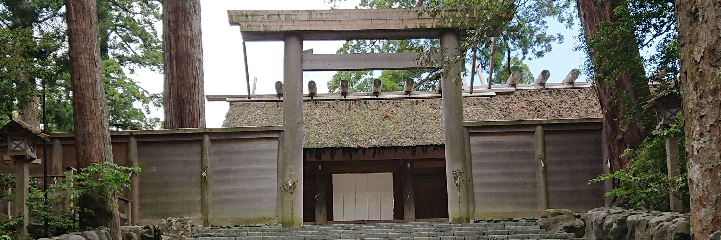 ロン