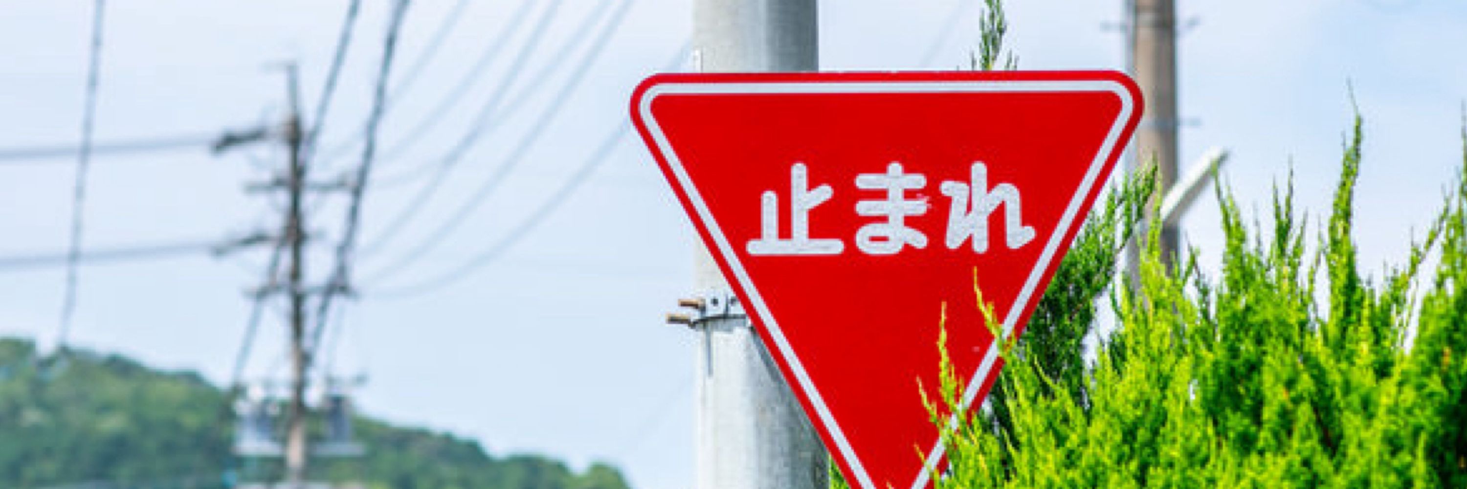 藤原藤原