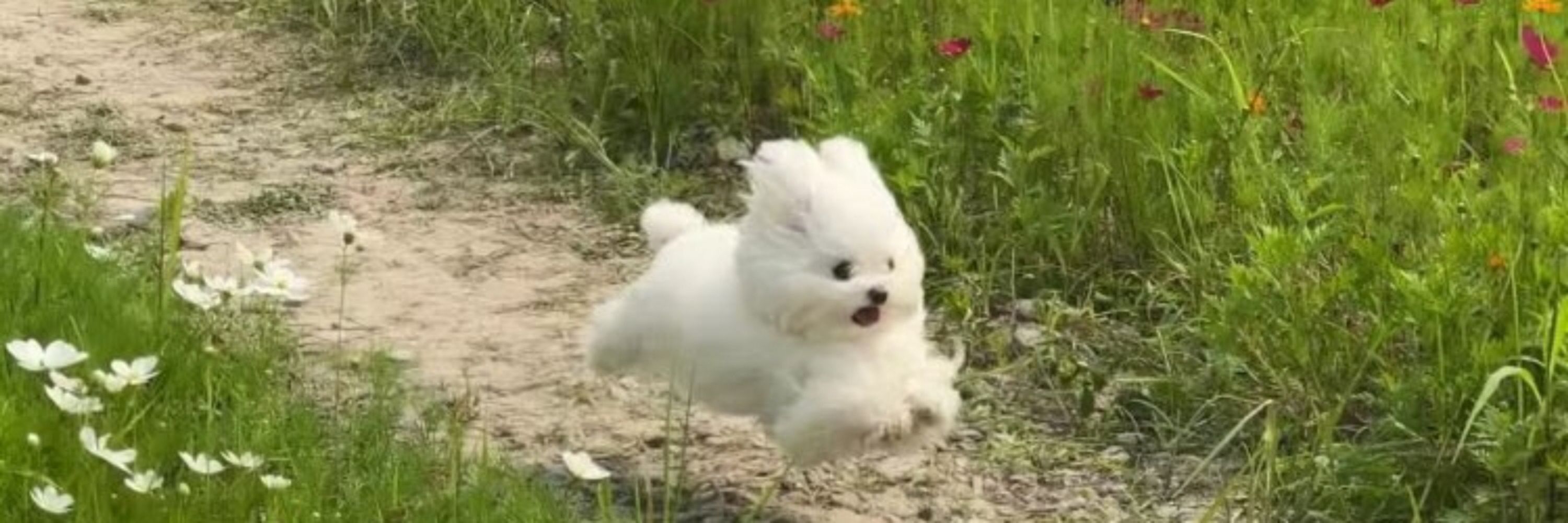 澐𝓨𝓾𝓷🧸