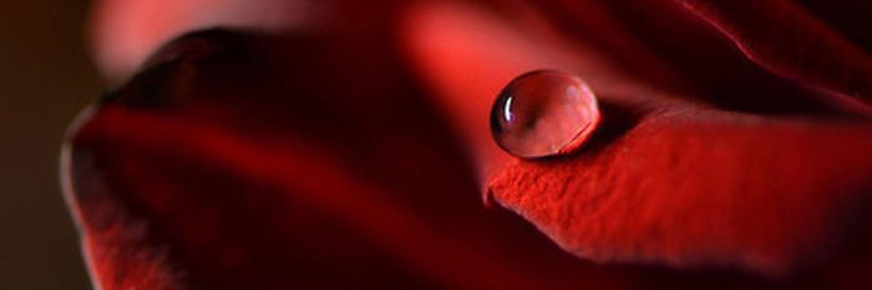 RedAfterMidnight