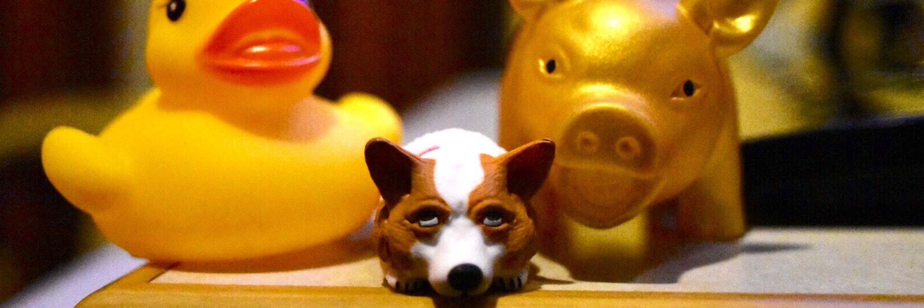 ぎにょる