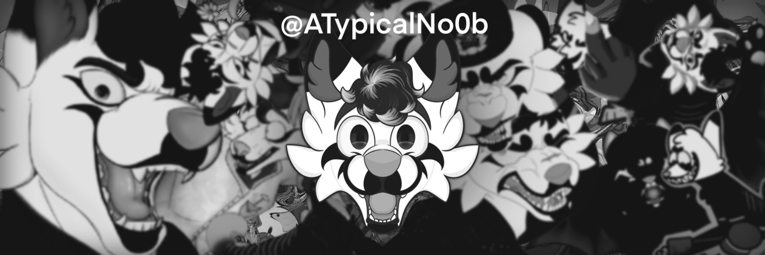 A Typical No0b