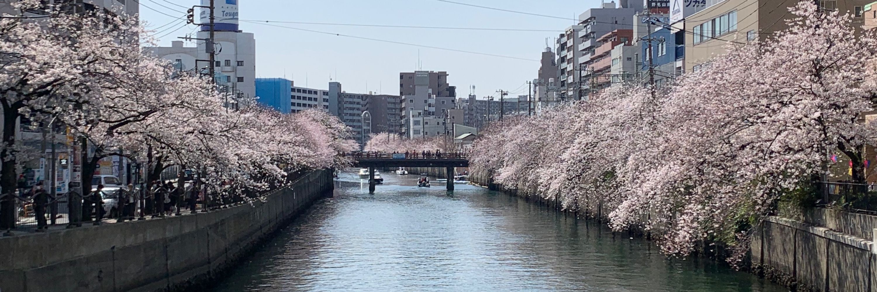 yamayoshi
