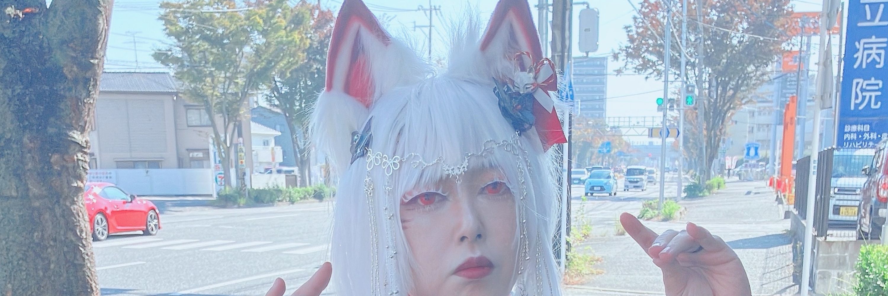 月影シギ