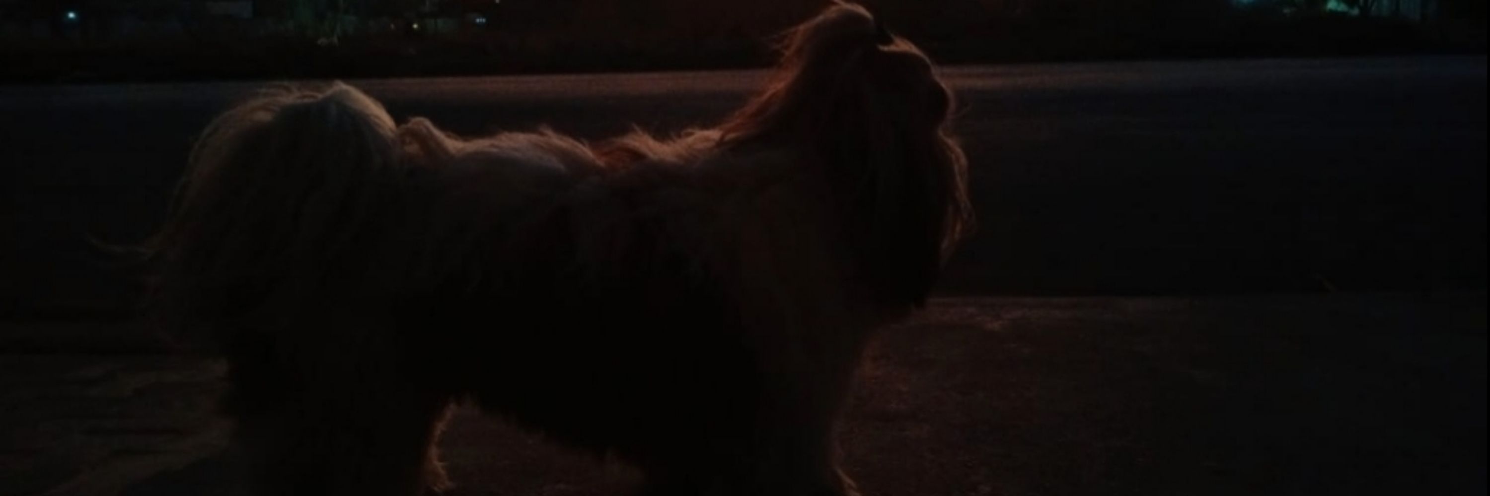 laurinha