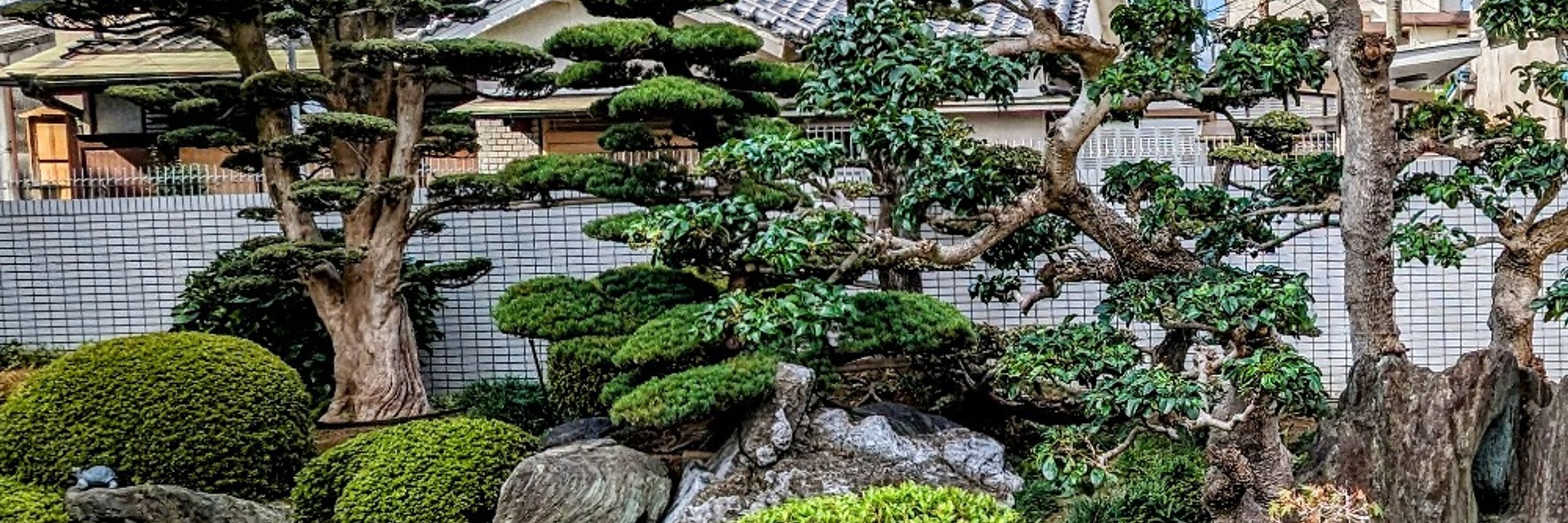 茶太郎