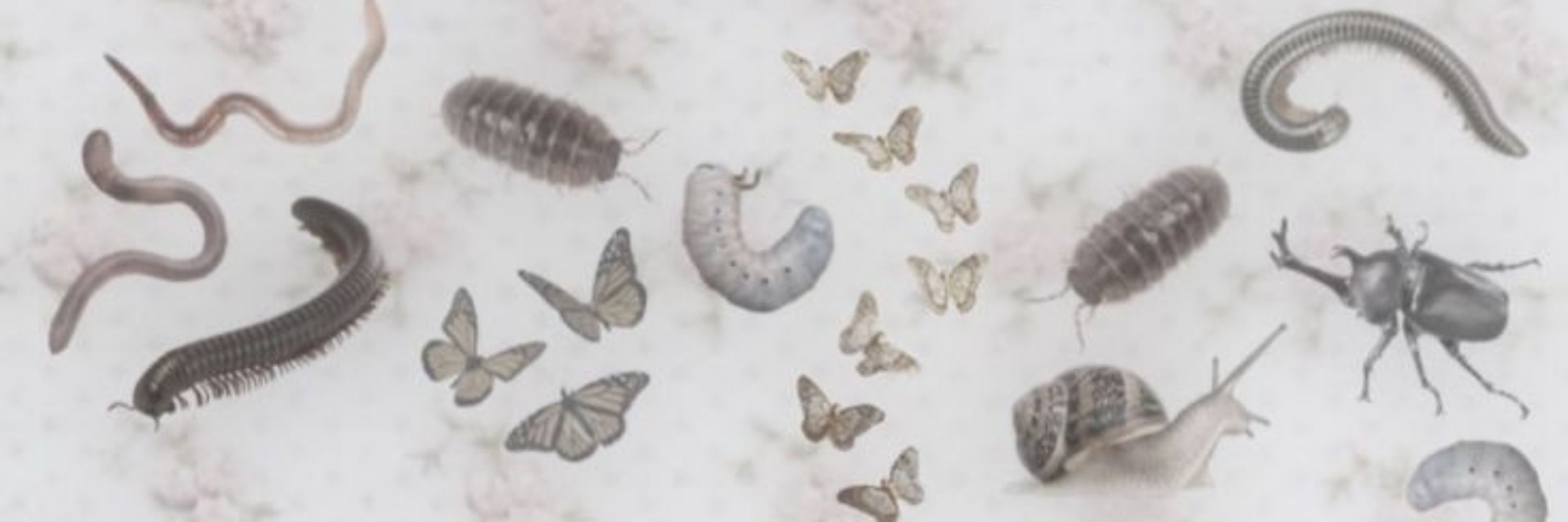 𖦁ׅ 𝑜𝑝𝘩𝑒.𝑙𝑖𝑎៵ 🩰 ࣪ ִֶָ