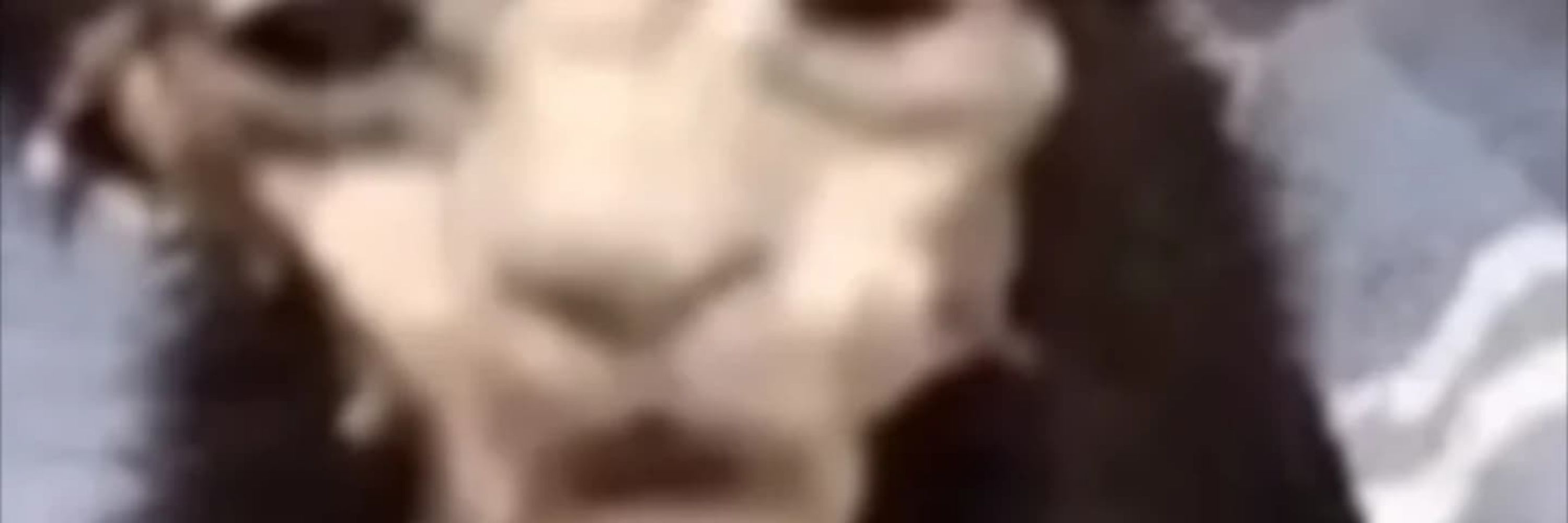 Cj
