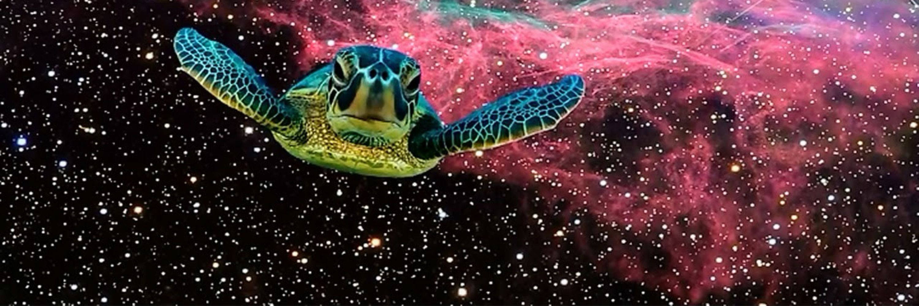 lamp 🧙‍♂️