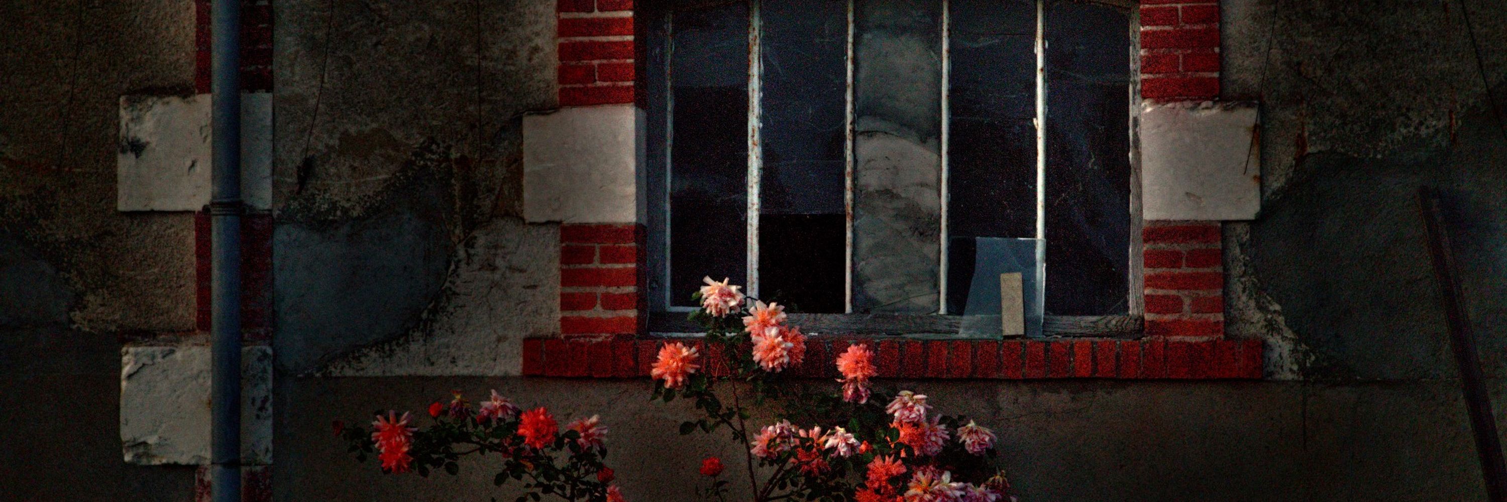 Bob Saint-Jacques