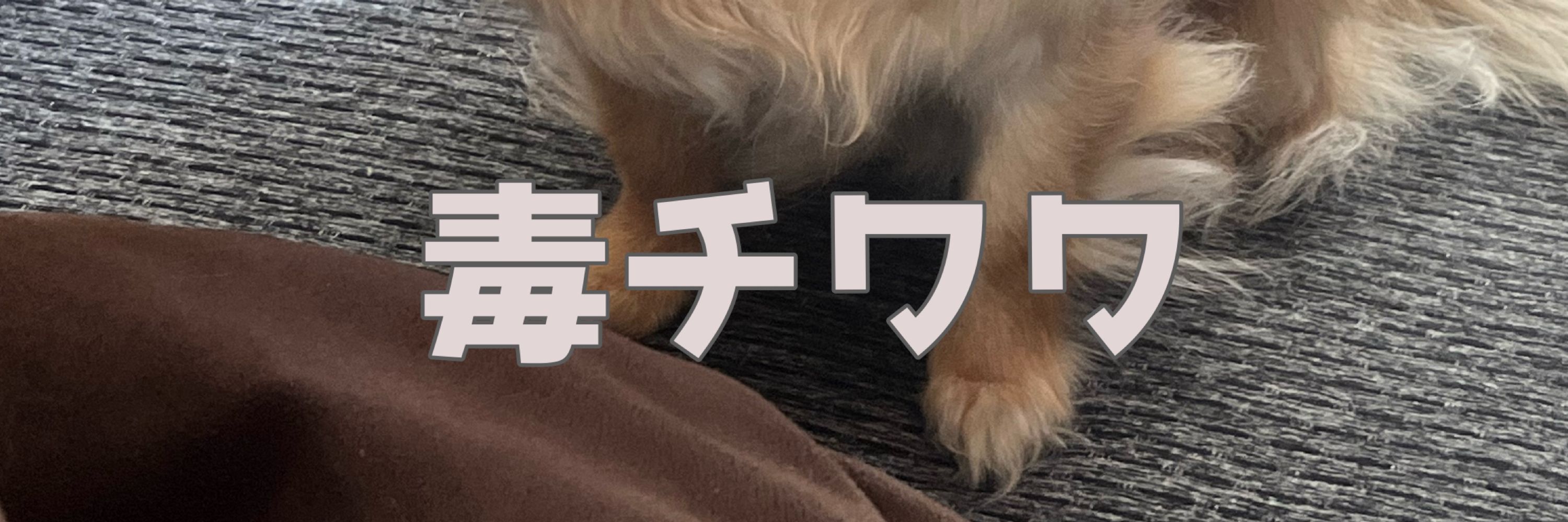 だば