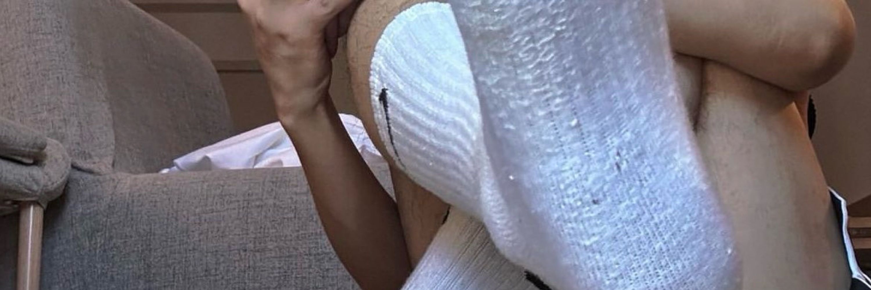 小狼狗