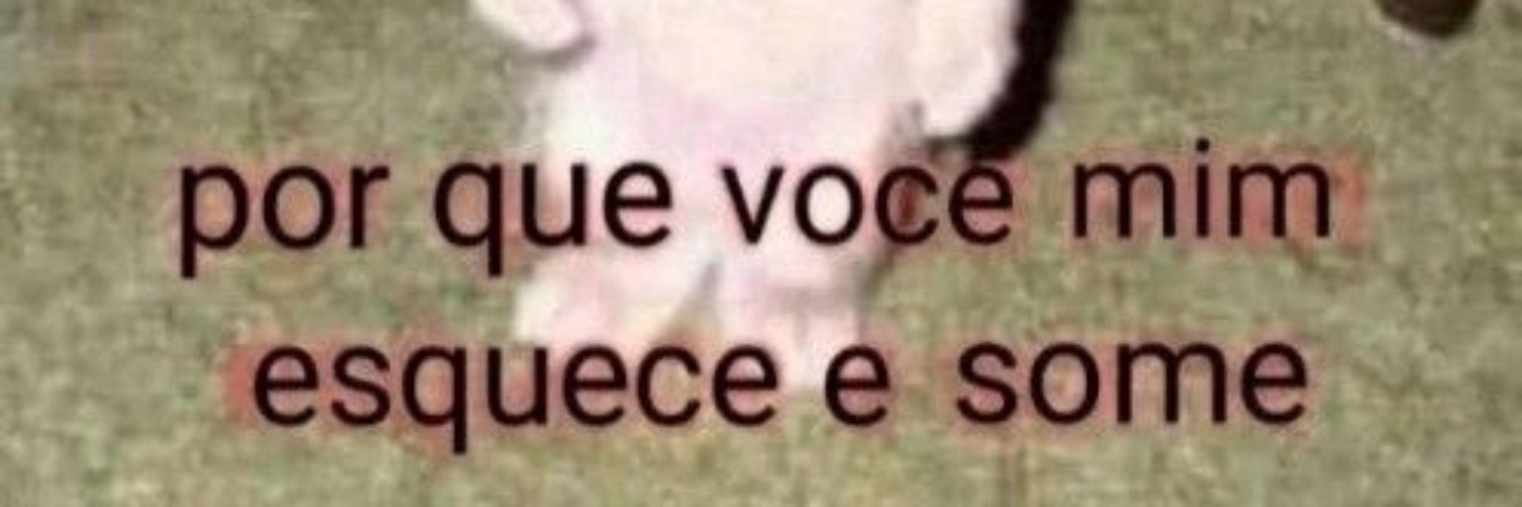 Belocas