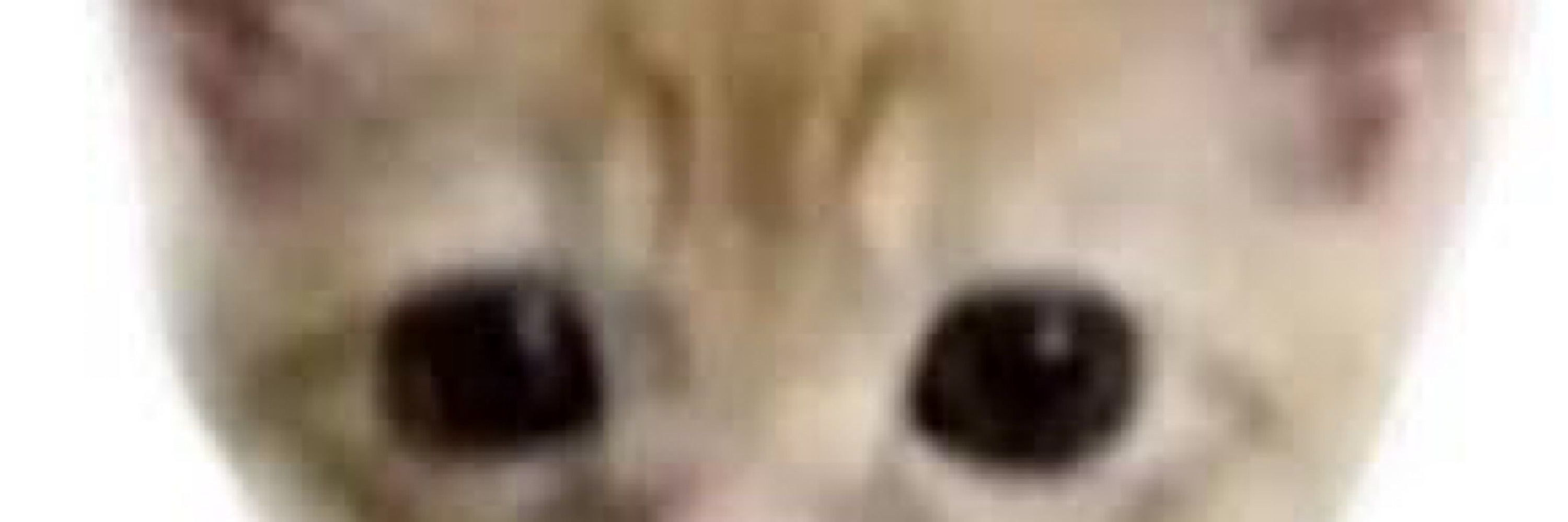 エステティシャン