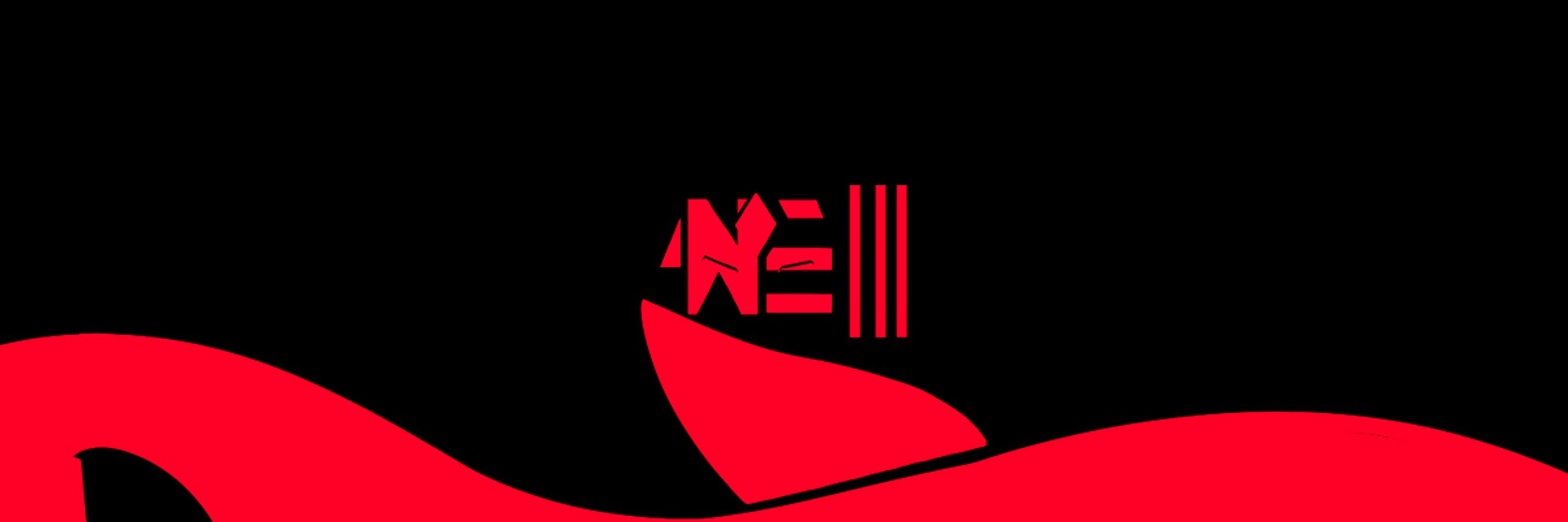 Nerfecchi