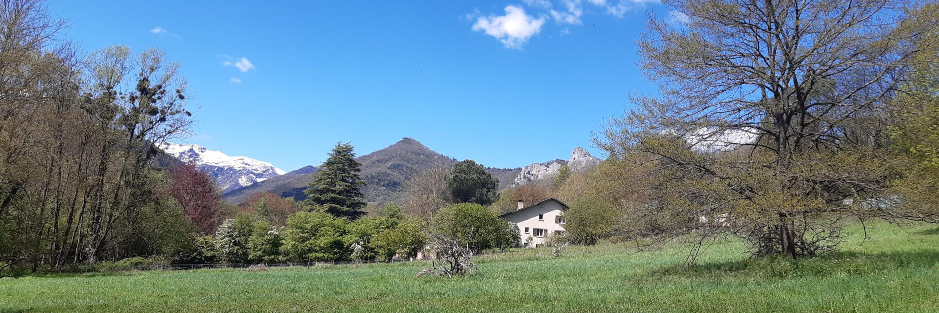 Institut Natura e Teoria ※ Pireneus (INTP)