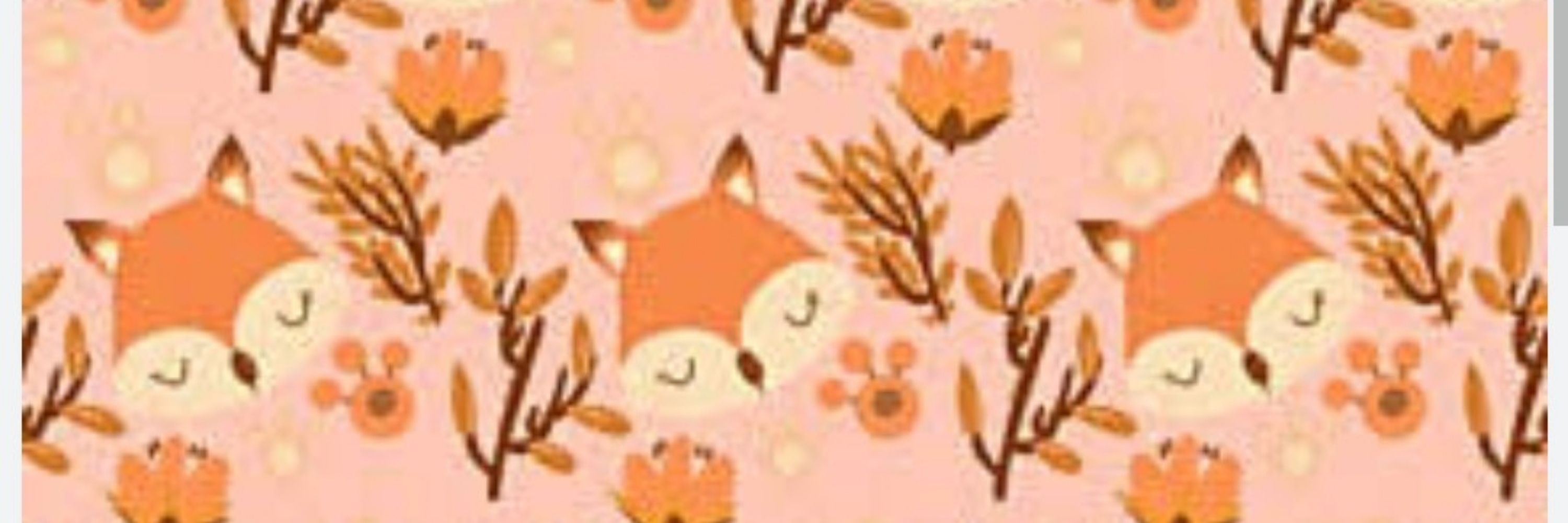 Raposinha 🦊✨