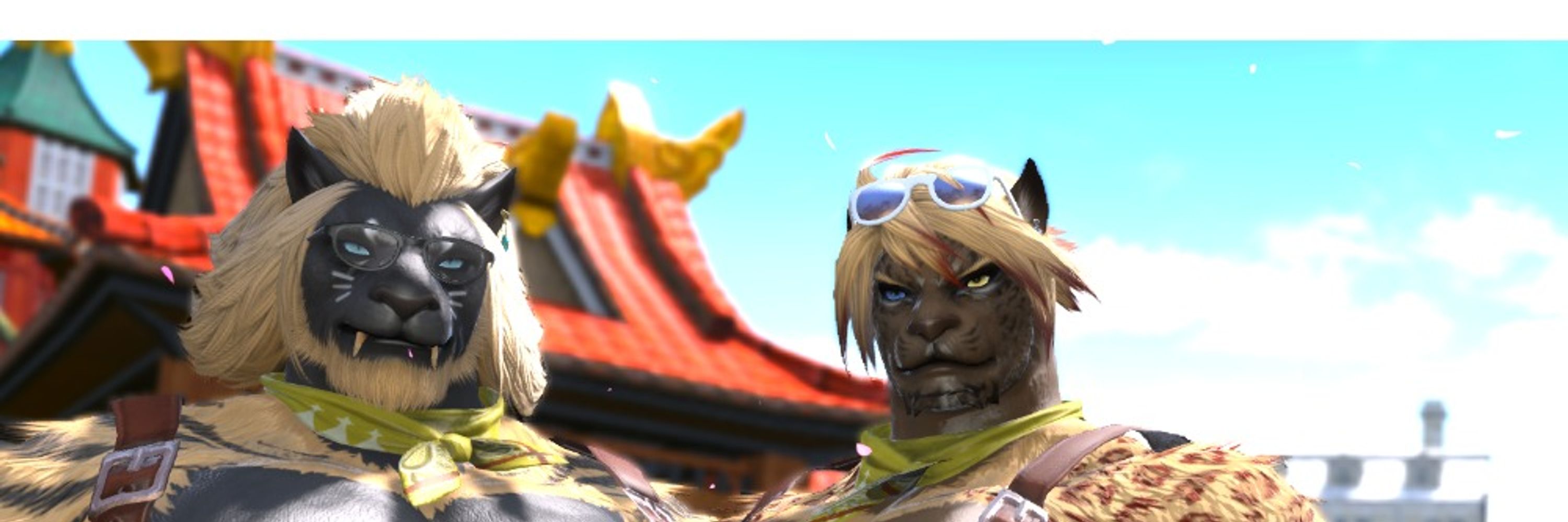 Kfc-Mowmow